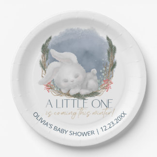Assiettes En Carton Baby shower d'hiver moelleux Bunny