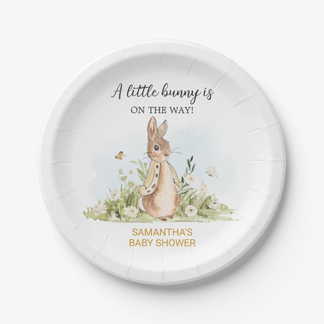 Assiettes En Carton Baby shower Peter Rabbit (Devant)