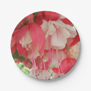 Assiettes En Carton Bachkirtseff