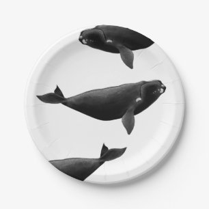Assiettes En Carton Baleine noire de l'Atlantique Nord Eubalaena glaci