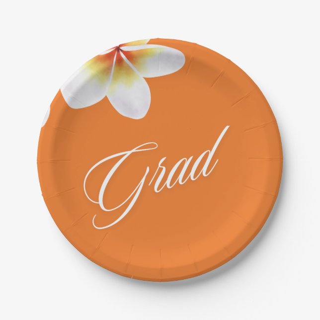 Assiettes En Carton ballon du grand parti (Devant)