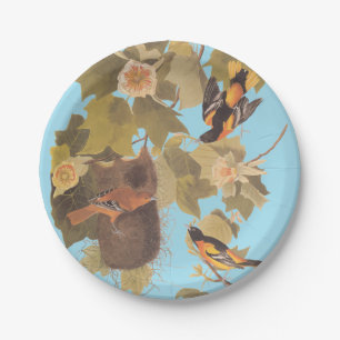 Assiettes En Carton Baltimore Oriole Audubon Bird Family avec nid