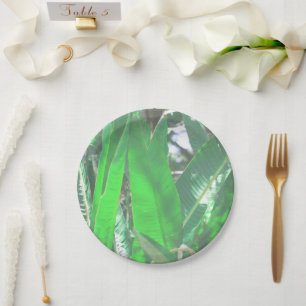 Assiettes En Carton Banane verte type plante pastel feuille