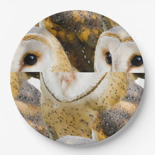 Assiettes En Carton Barn Owl