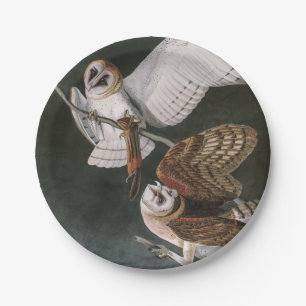 Assiettes En Carton Barn Owls, les oiseaux d'Amérique John James Audu