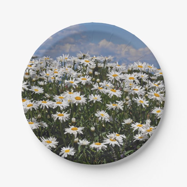 Assiettes En Carton Beau jardin de marguerite blanche (Devant)
