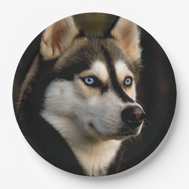 Assiettes En Carton Beau Oreiller Husky Lrow (Devant)