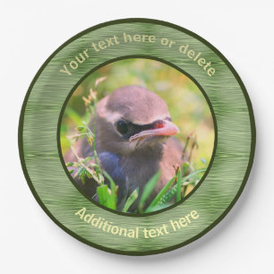 Assiettes En Carton Bébé cirage Oiseau Nature Fête personnalisée