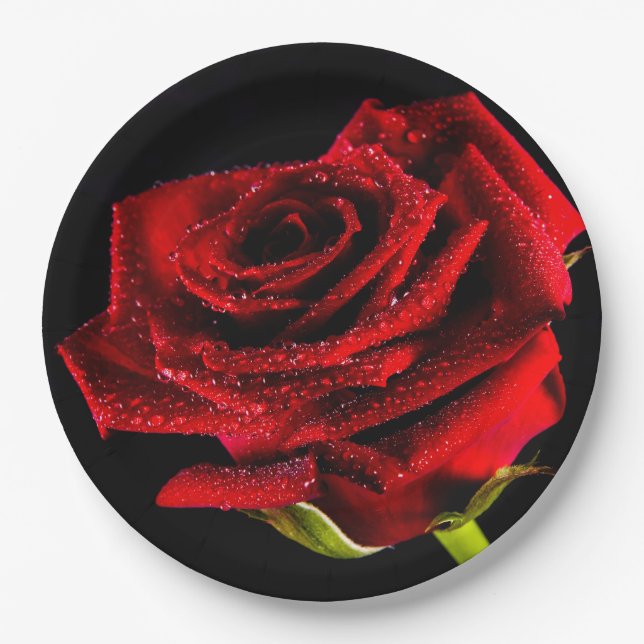 Assiettes En Carton Belle rose rouge (Devant)