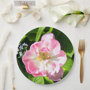 Assiettes En Carton Belle tulipe rose