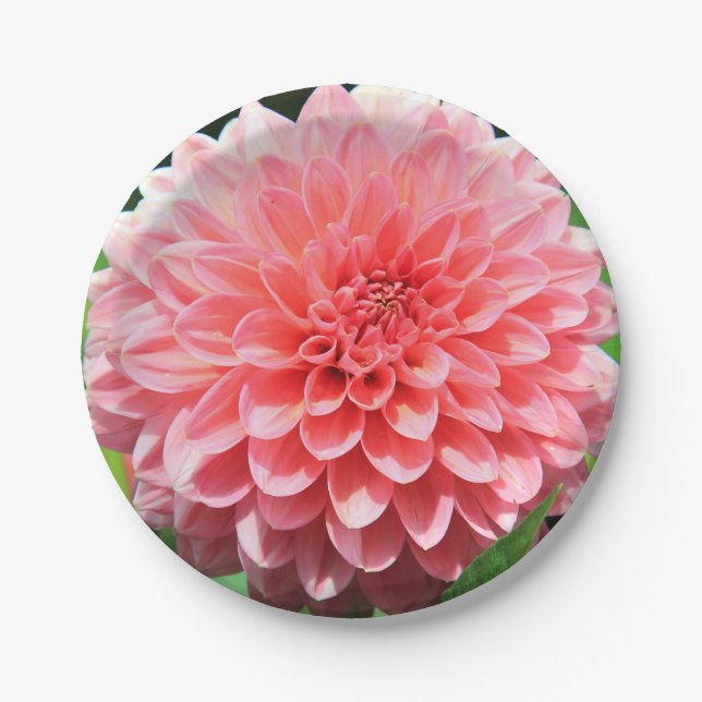 Assiettes En Carton Bienvenue au printemps avec Dahlia rose géant (Devant)