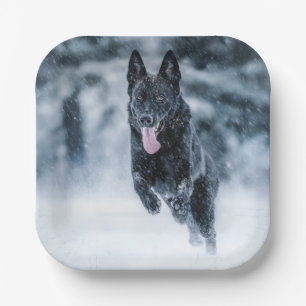 Assiettes En Carton Black German Shepherd in snow Duvet Cover