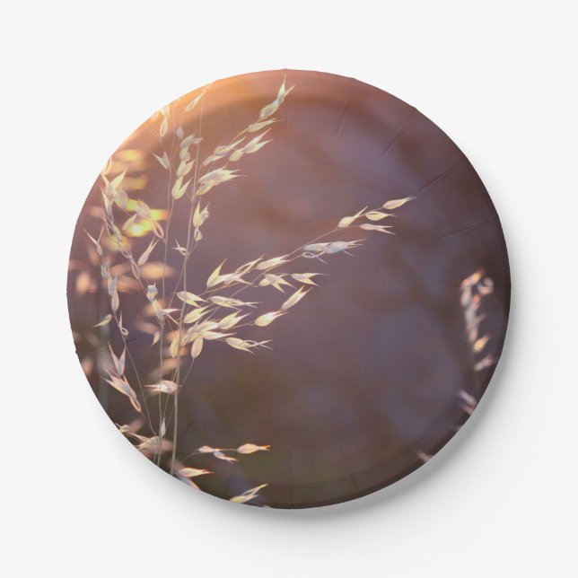 Assiettes En Carton blé le matin (Devant)