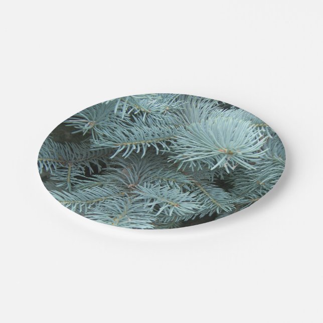 Assiettes En Carton Bleu épicéa gris vert vert nature rustique (Angle)