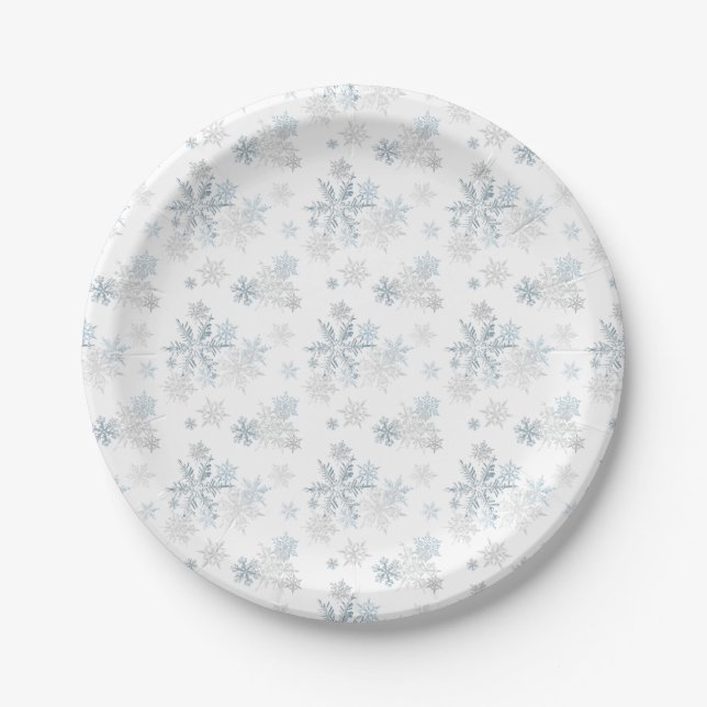 Assiettes En Carton Bleu Silver Grey Winter Wonflake (Devant)