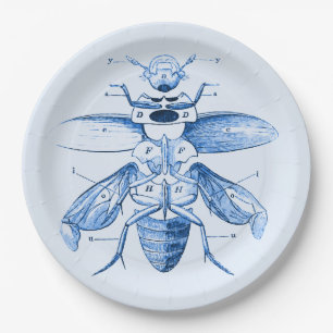 Assiettes En Carton Bleu vintage des scarabées   de l'image  
