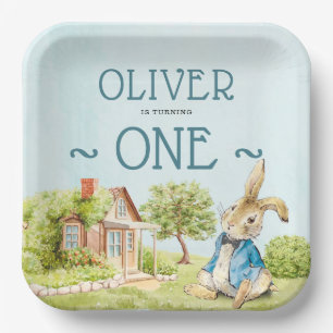 Assiettes En Carton Blue Peter Rabbit Garçon Premier anniversaire