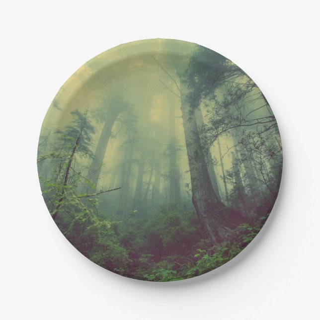 Assiettes En Carton Bois Du Bas (Devant)