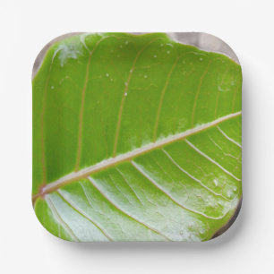 Assiettes En Carton Bol Carré papier avec conception feuille