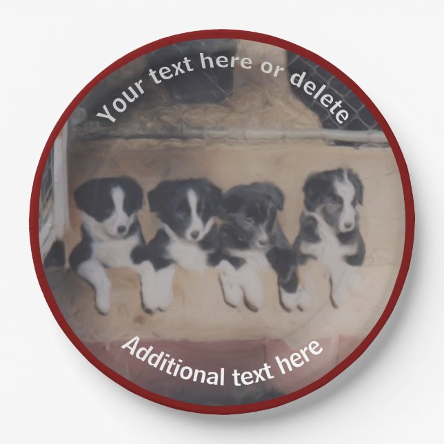 Assiettes En Carton Bordure Collie Puppies Art Personnalisé Party (Devant)