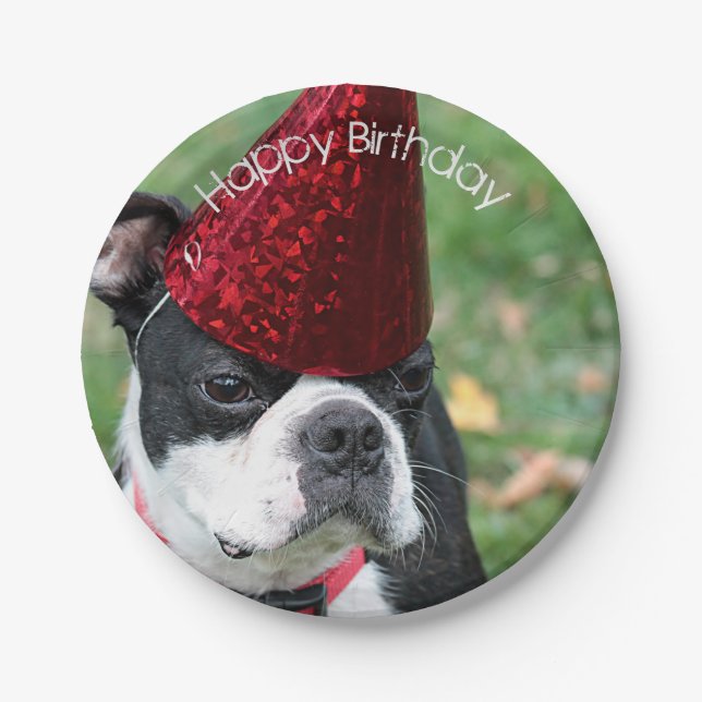 Assiettes En Carton Boston Terrier (Devant)