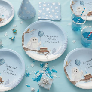 Assiettes En Carton Boule de neige de l'hiver Onederland Anniversaire