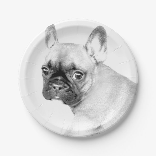 Assiettes En Carton Bouledogue français (Devant)