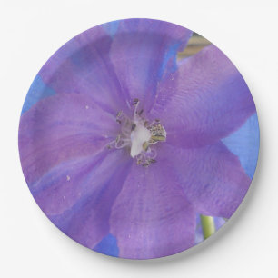 Assiettes En Carton Bowen