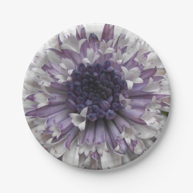 Assiettes En Carton Brett (Devant)