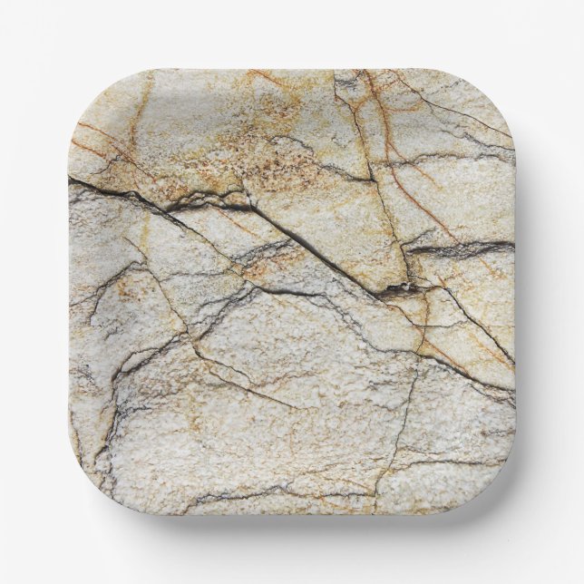 Assiettes En Carton Brown and Black Textured (Recto)