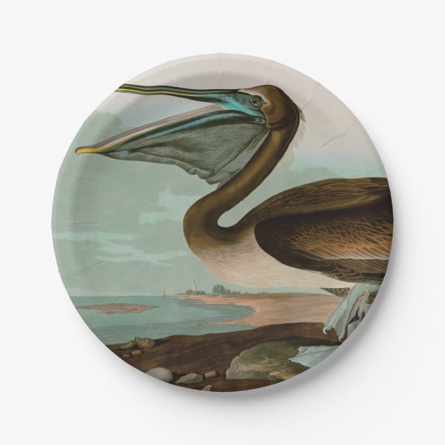 Assiettes En Carton Brown Pelican Birds of America Audubon (Devant)