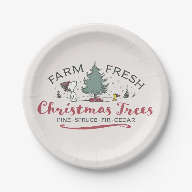 Assiettes En Carton cacahuètes | Arbres de Noël frais de ferme (Devant)
