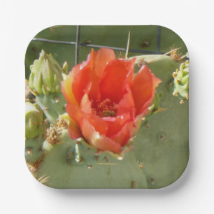 Assiettes En Carton Cactus Belles et robustes plaques de papier carré