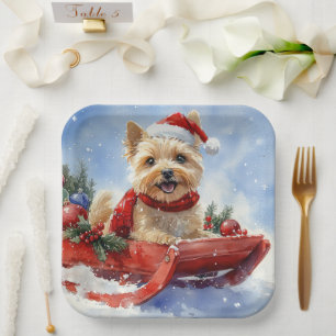 Assiettes En Carton Cairn Terrier Chien dans la corniche Laisser il ne