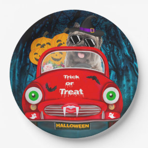 Assiettes En Carton Cairn Terrier voiture de conduite effrayant Hallow
