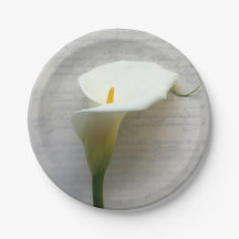 Calla lily