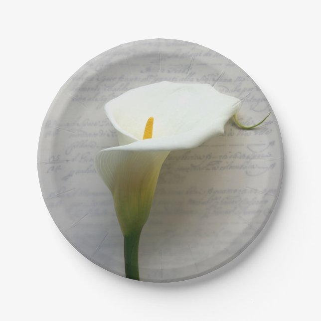 Assiettes En Carton Calla lily (Devant)
