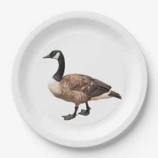Assiettes En Carton Canada Goose