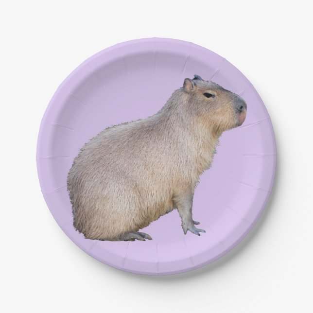 Assiettes En Carton Capybara (Devant)