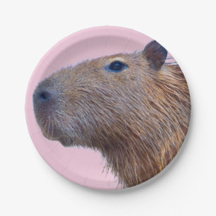 Assiettes En Carton Capybara