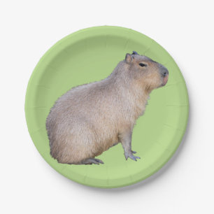 Assiettes En Carton Capybara