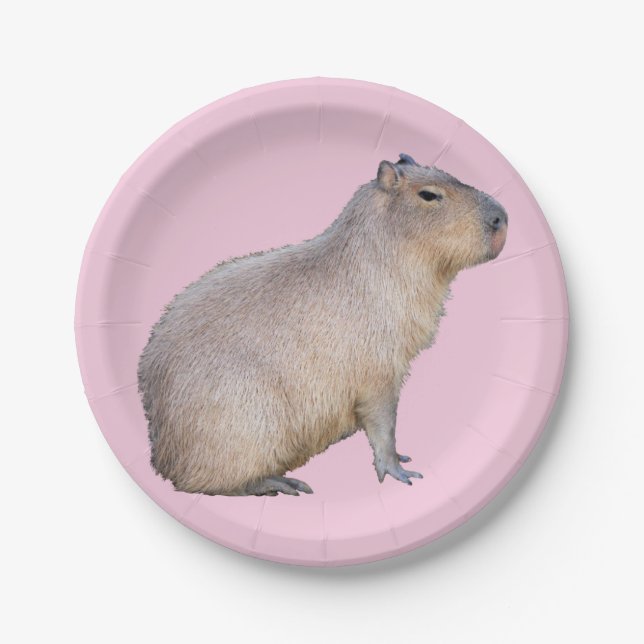 Assiettes En Carton Capybara (Devant)