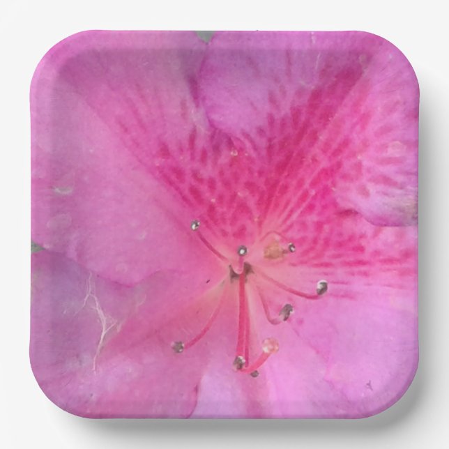 Assiettes En Carton Carré de 9 pouces (Recto)