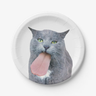 Assiettes En Carton Cat A Te Langue ?