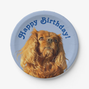Assiettes En Carton Cavalier King Charles Spaniel Chien Chien Chien Ch