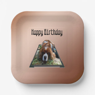 Assiettes En Carton Cavalier Spaniel Popout Art,