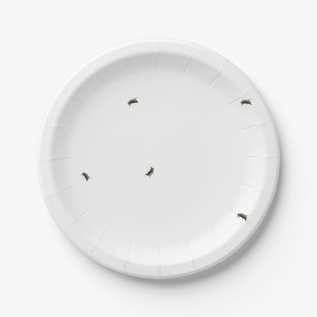 Assiettes En Carton C'est un pique-nique, il y aura des mouches (Devant)