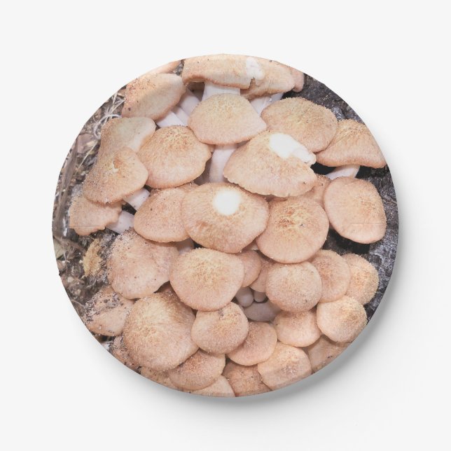 Assiettes En Carton champignons sans sonnette sur une plaque de papier (Devant)