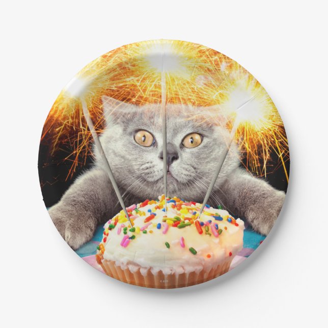 Assiettes En Carton Chat Avec Cupcake Sparkler (Devant)