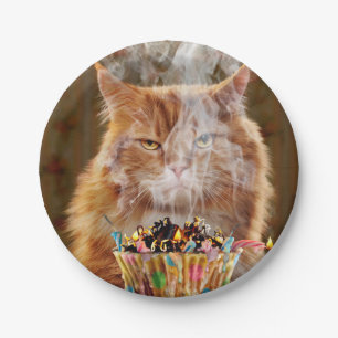 Assiettes En Carton Chat Cranky Drôle Avec Cupcake D'Anniversaire Fon